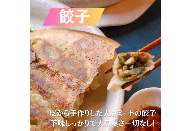 ヴィーガン焼き餃子(15個入り)